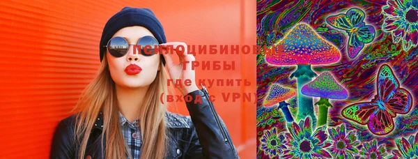 шишки Михайлов